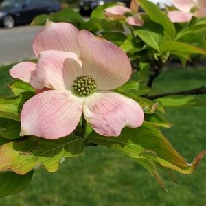 Meet your Posher, Shweta